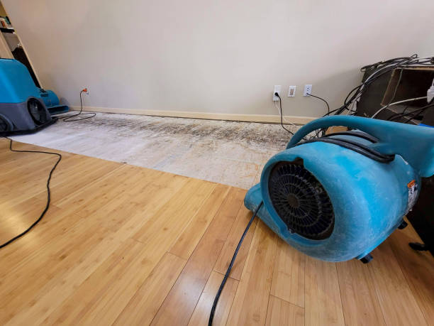 Professional Burst Pipe Water Damage technician working in North Sandwich, NH